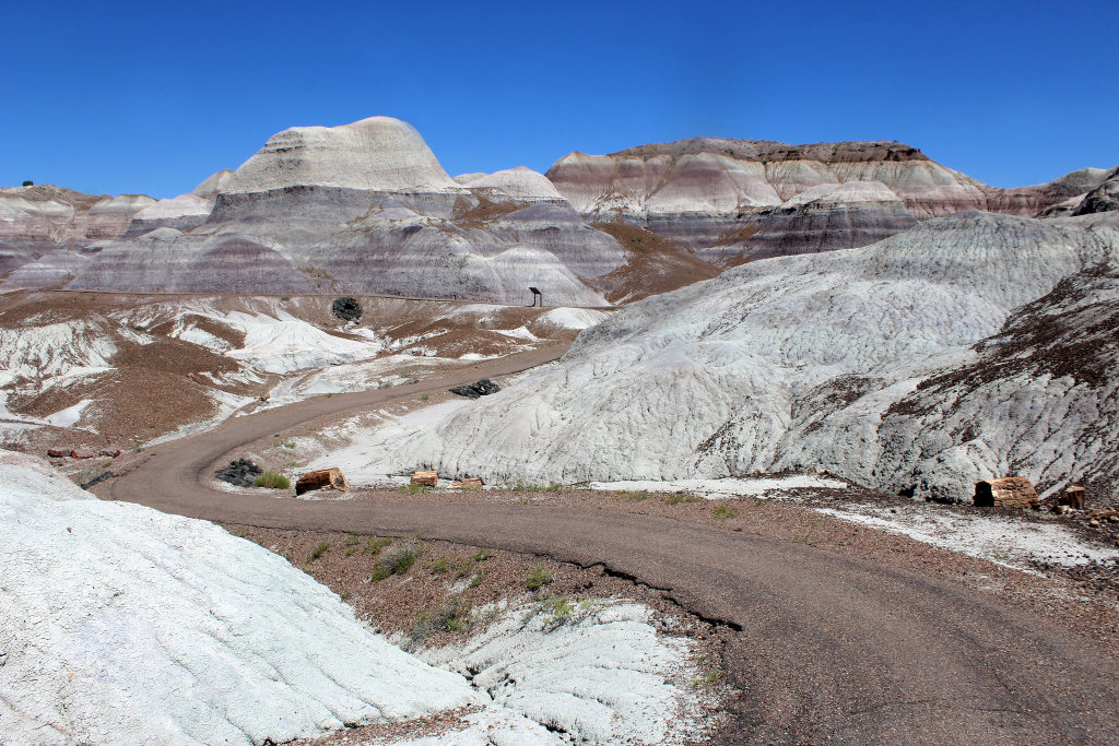 The winding Blue Mesa Trail at Petrified Forest National Park