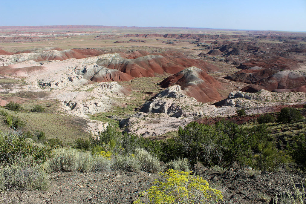 Rim Trail view at the Petrified Forest National Park