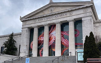 Shedd Aquarium in Chicago