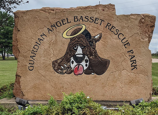 Guardian Angel Basset Rescue (GABR) Park in Dwight, Illinois