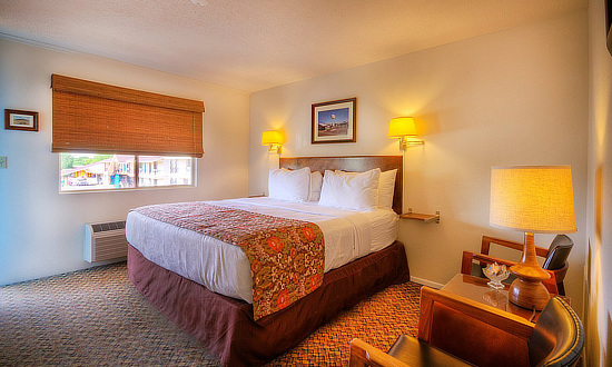 One of the many fine guest rooms at the Roadrunner Lodge Motel in Tucumcari, New Mexico, on Historic Route 66 One of the many fine guest rooms at the Roadrunner Lodge Motel in Tucumcari, New Mexico, on Historic Route 66