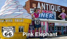 The Pink Elephant in Livingston, Illinois